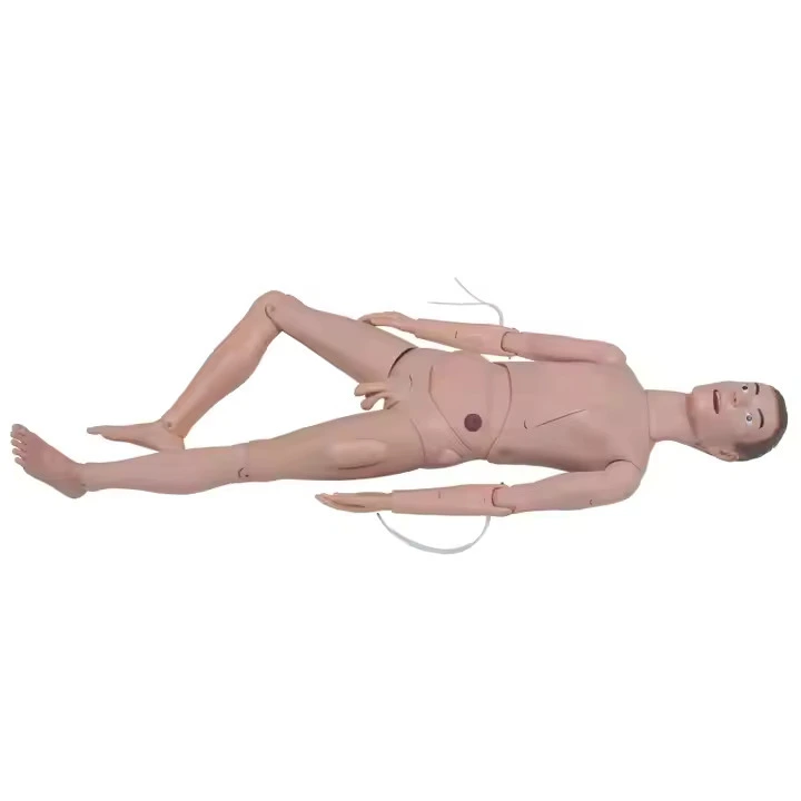 Modèles de formation médicale réalistes Manikin infirmiers de base vif | Inverse 1