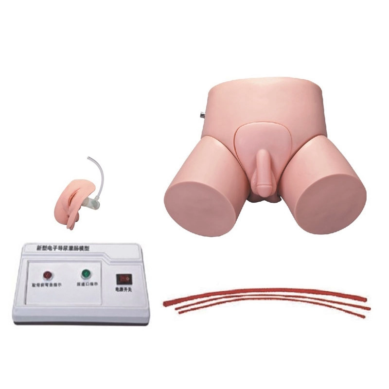 Cateterización de uretral electrónica y modelo de enema | Interno 1