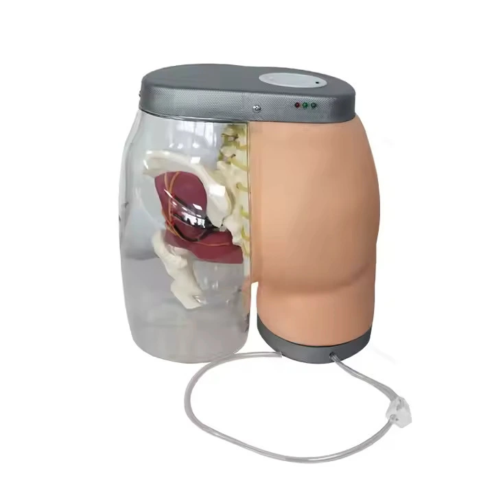 Intramuscular Injection Model Buttocks Injection Trainer | INNORKOM 1