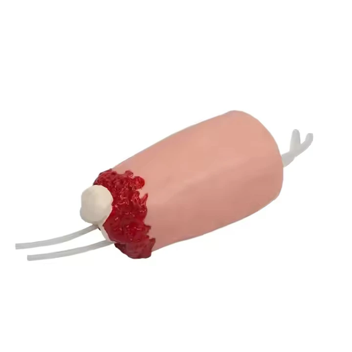 Lower Limb Amputation and Hemostasis Model | INNORKOM 1