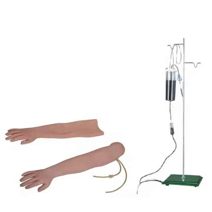 Modèle de bras d&39;injection intramusculaire pour ponction veineuse &lt;000000&gt; | INNORKOM 1