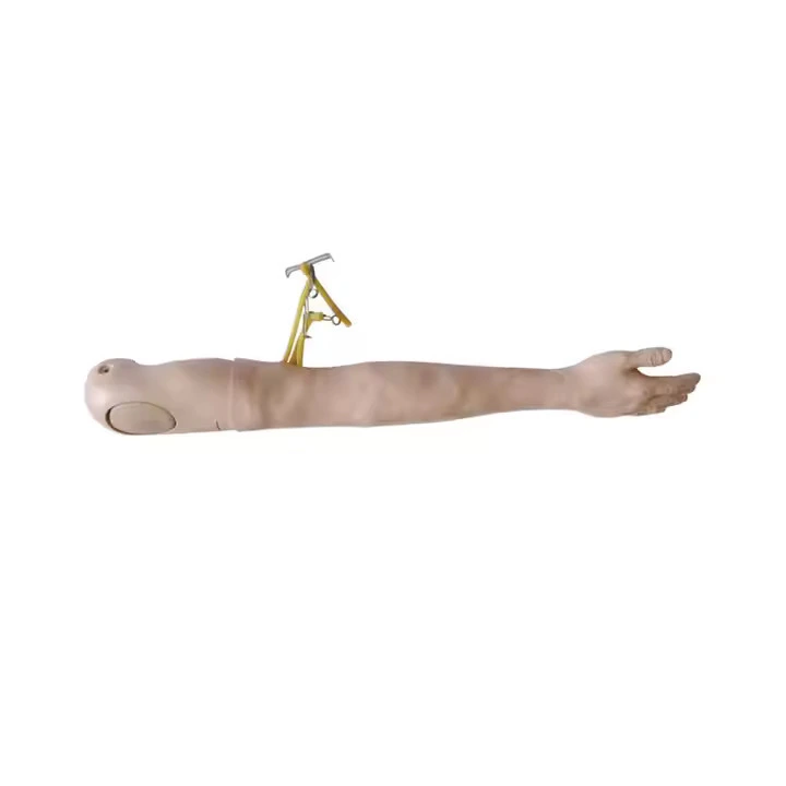 Multi-Functional IV Training Arm | INNORKOM 1