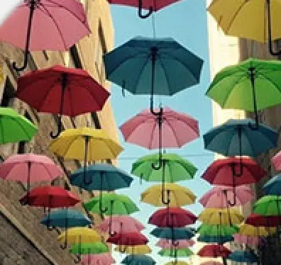 Walking Stick Umbrella Available for Specifications and Quantities by Blueprint Umbrella 2