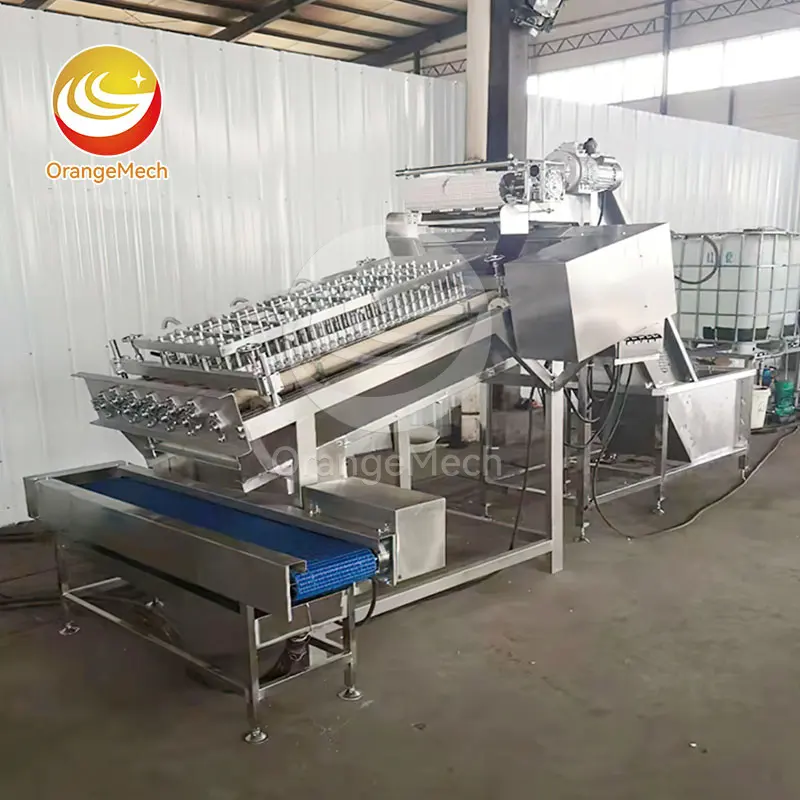 Hot Sale Meat Machinery Supplier 8