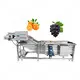 High Quality Food Industry Machinery Manufacturers Supplier 2