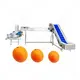 High Quality Food Machinery Supplier From China 6