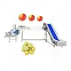 High Quality Food Machinery Supplier From China 3