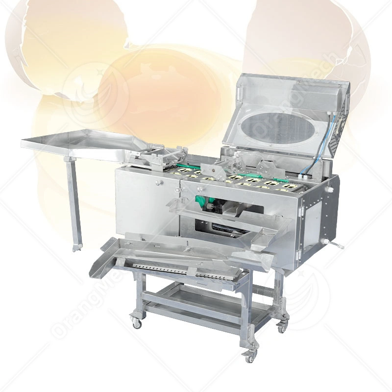 Industrial Egg Separator With Adjustable Separation Level for Egg Product Manufacturers 1