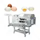 Food Production Machinery Company 6