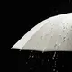Umbrellas Supplier Available for Specifications and Quantities - - Blueprint Umbrella 5