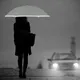 Umbrellas Supplier Available for Specifications and Quantities - - Blueprint Umbrella 8