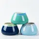 Ceramic Pet Supplies Ceramic Dog Water Bowl Factory Price 2