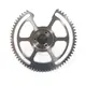 Bulkworm Gear 4