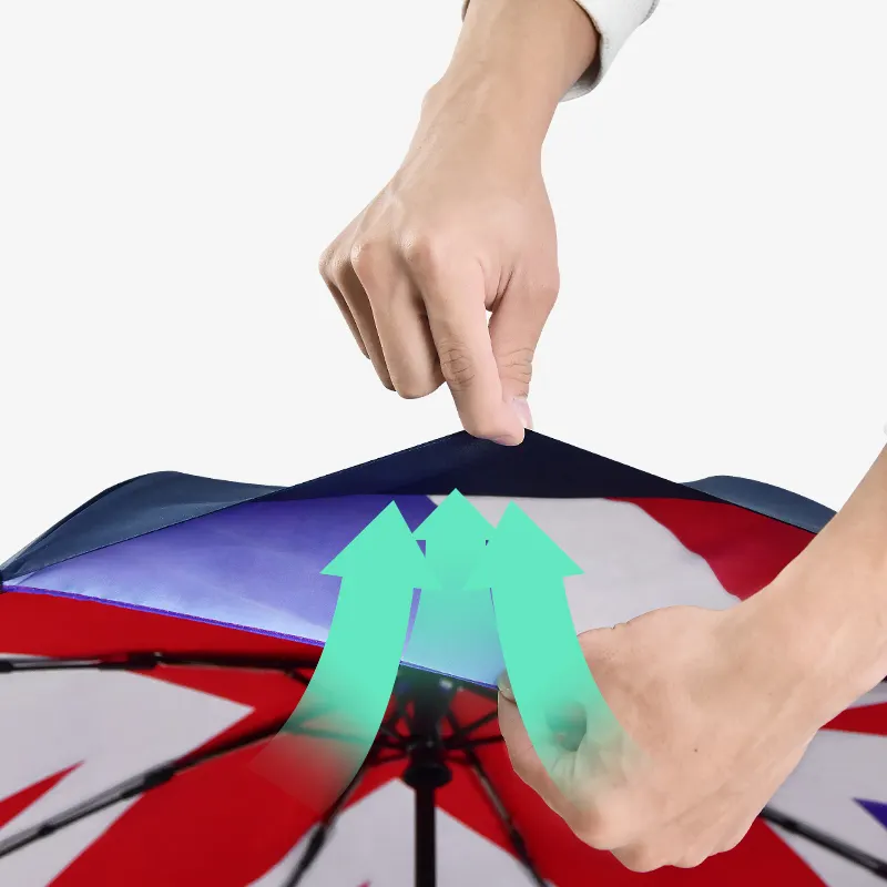 2 Fold Umbrella Price Within 35 Workdays by Blueprint Umbrella 5