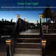 OEM/ODM Best Solar Flame Lights with Custom Services 3