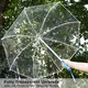 Clear Umbrellas Bulk T/T Wholesale - Blueprint Umbrella 6