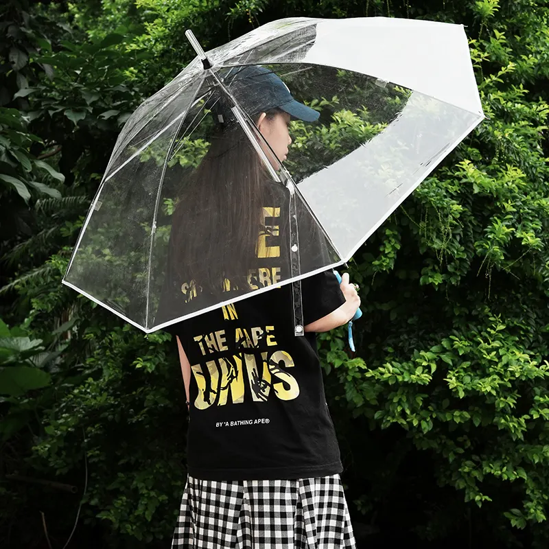 Transparent Dome Umbrella L/C Wholesale - Blueprint Umbrella 2