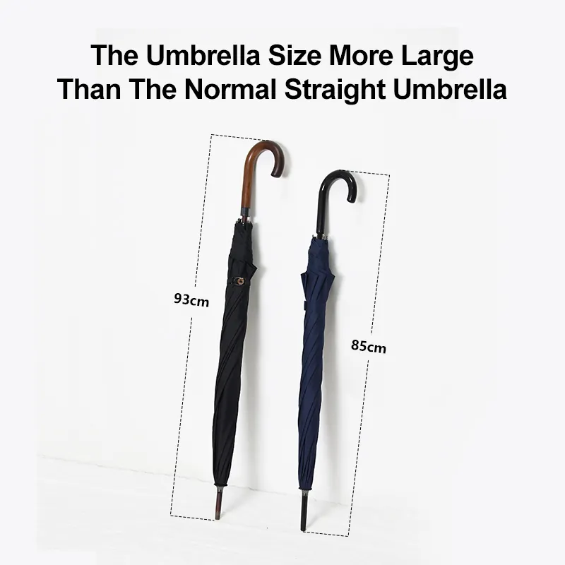 Walking Umbrella Cash - - Blueprint Umbrella 4