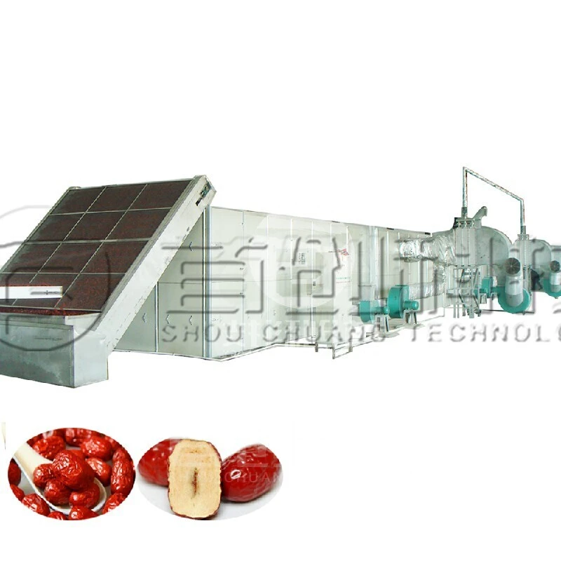 Multilayer Net Belt Dryer for Palm Dates  Herbs - 20 Tons Capacity 1