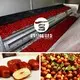 Air Drying Machine for Food Manufacturing 2