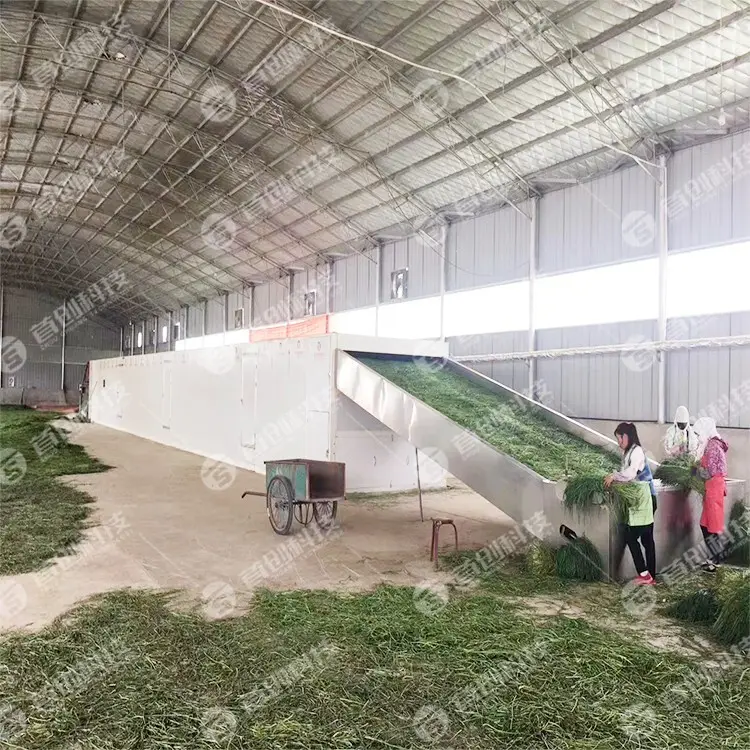 Safe to Use Grape Drying Machine Factory 4