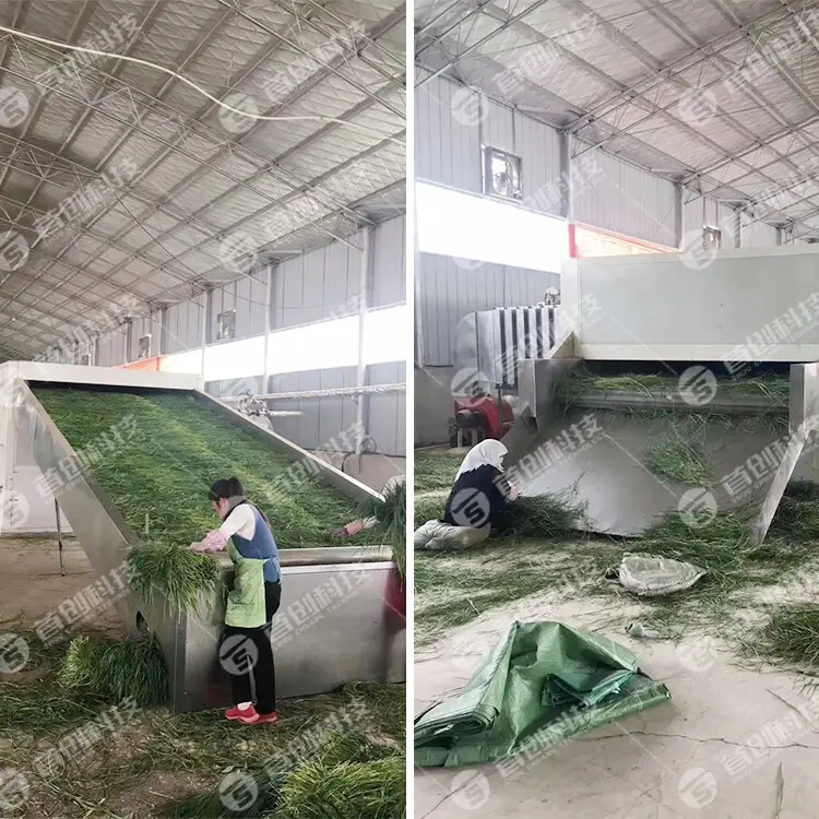 Safe to Use Grape Drying Machine Factory 3
