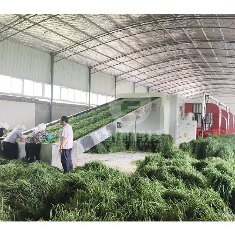 Safe to Use Grape Drying Machine Factory 2