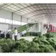 Safe to Use Grape Drying Machine Factory 2