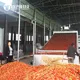 ShouChuang Vegetable Dryer Machine Manufacturers with Custom Services 5