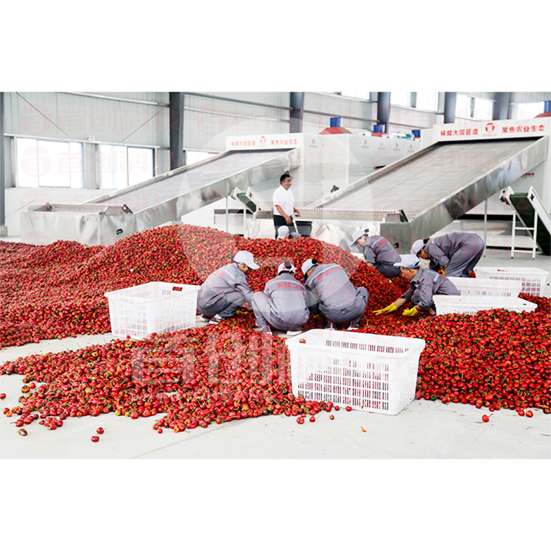 Dry Fruit Dryer Machine by ShouChuang 2