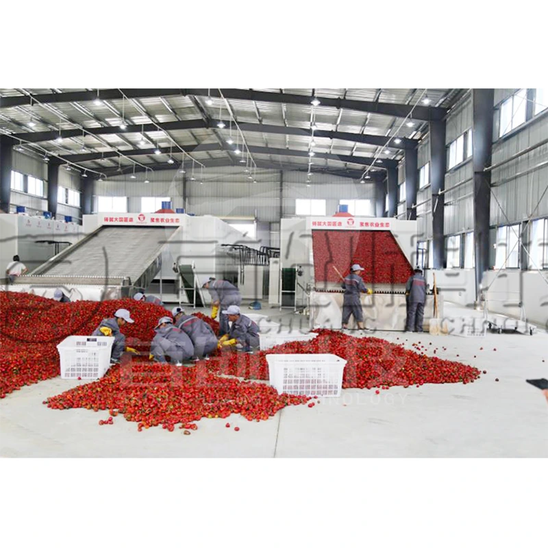 Industrial Red Pepper Belt Dryer for Drying Ghost Peppers 1