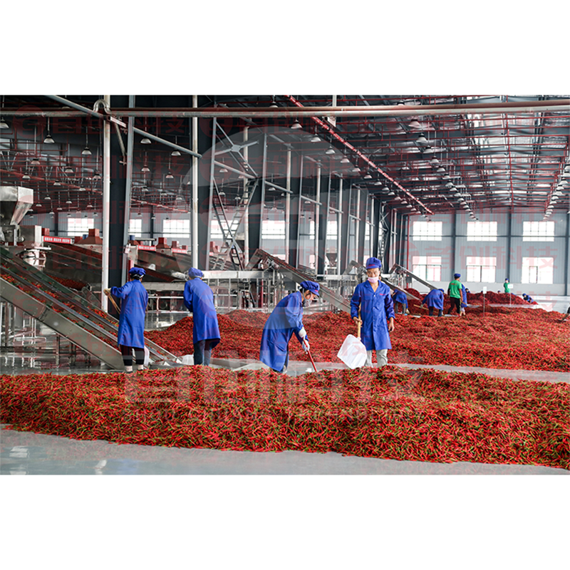 Dry Fruit Dryer Machine by ShouChuang 4