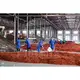 Long Lasting Vegetable Spin Dryer Vegetable Spin Dryer Company 4