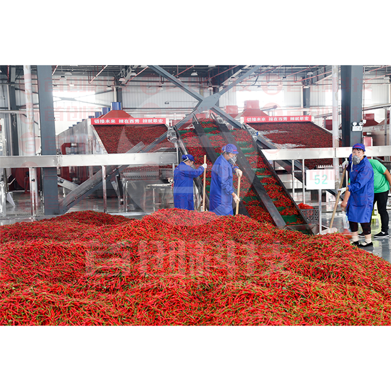 Dry Fruit Dryer Machine by ShouChuang 5