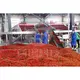 Long Lasting Vegetable Spin Dryer Vegetable Spin Dryer Company 5