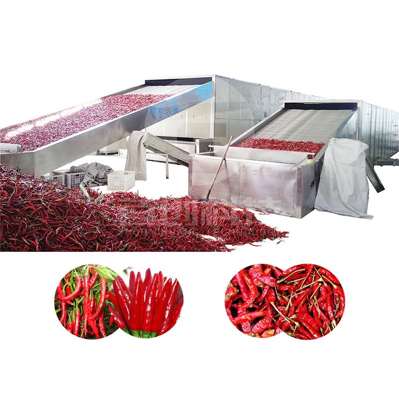 Dry Fruit Dryer Machine by ShouChuang 6