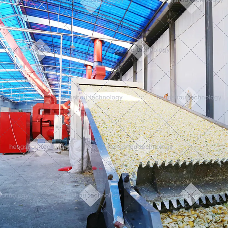 ShouChuang Mesh Belt Dryer Factory Direct Supply 3