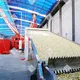 ShouChuang Mesh Belt Dryer Factory Direct Supply 3