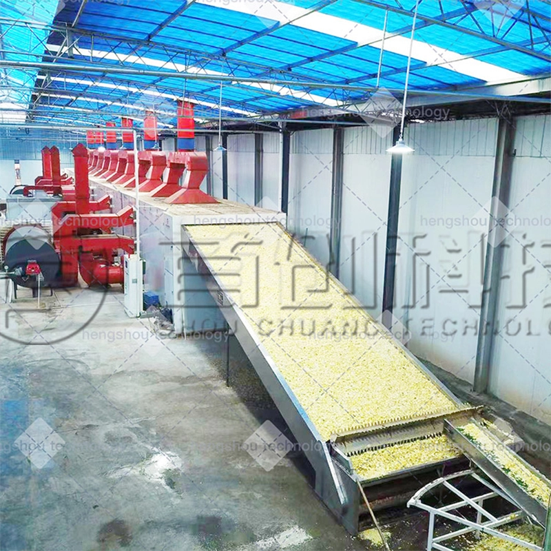 Mesh Belt Dryer for Citrus Peel & Apple Pomace Pectin Extraction Production Line 1
