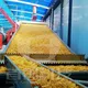 ShouChuang Mesh Belt Dryer Factory Direct Supply 2