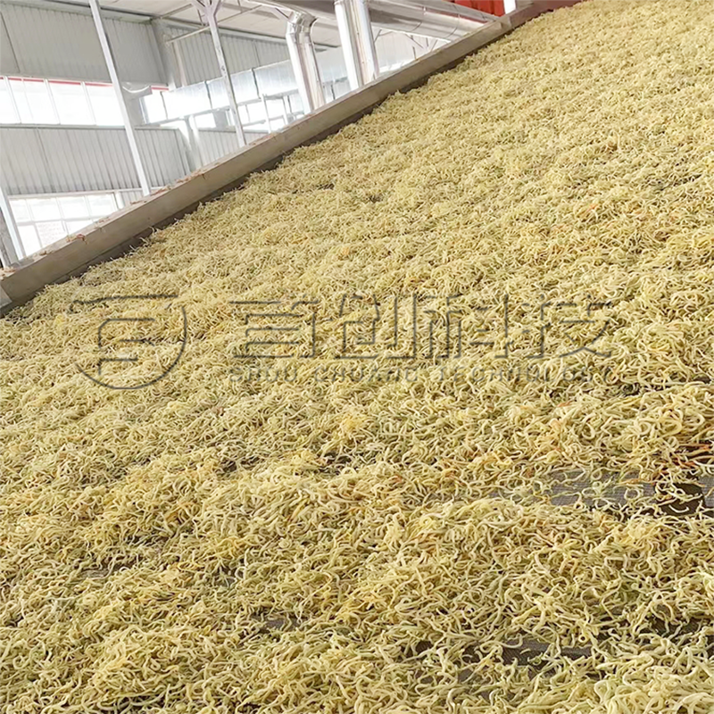 Fruit and Vegetable Dryer Machine - - ShouChuang 4