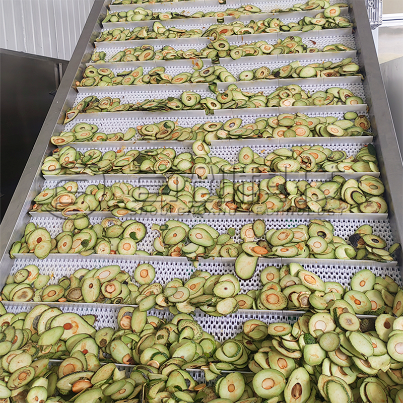 Fruit and Vegetable Dryer Machine - - ShouChuang 2