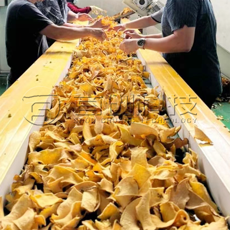 Mesh Belt Dryer for Citrus Peel  Apple Pomace Pectin Extraction Line 2
