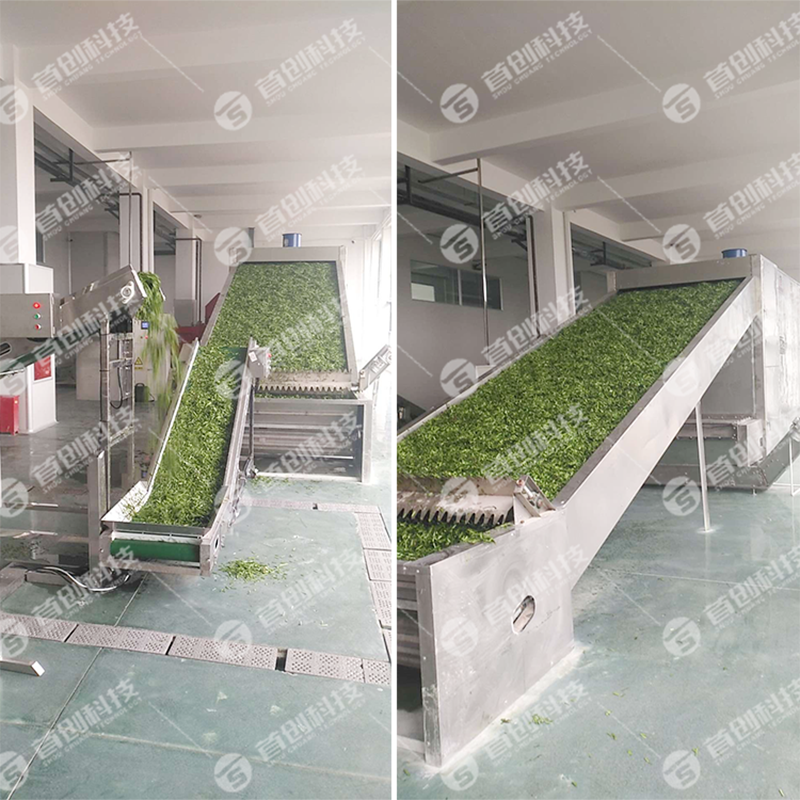 Continuous Belt Dryer Factory Direct Supply 3