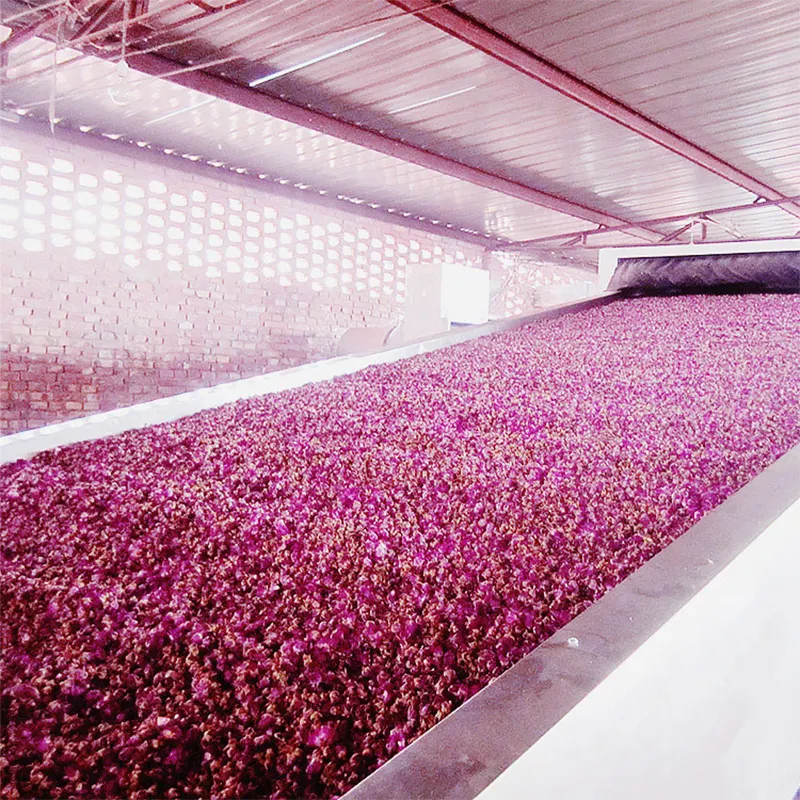 Hot Selling Flower Drying Machine Factory Price 2