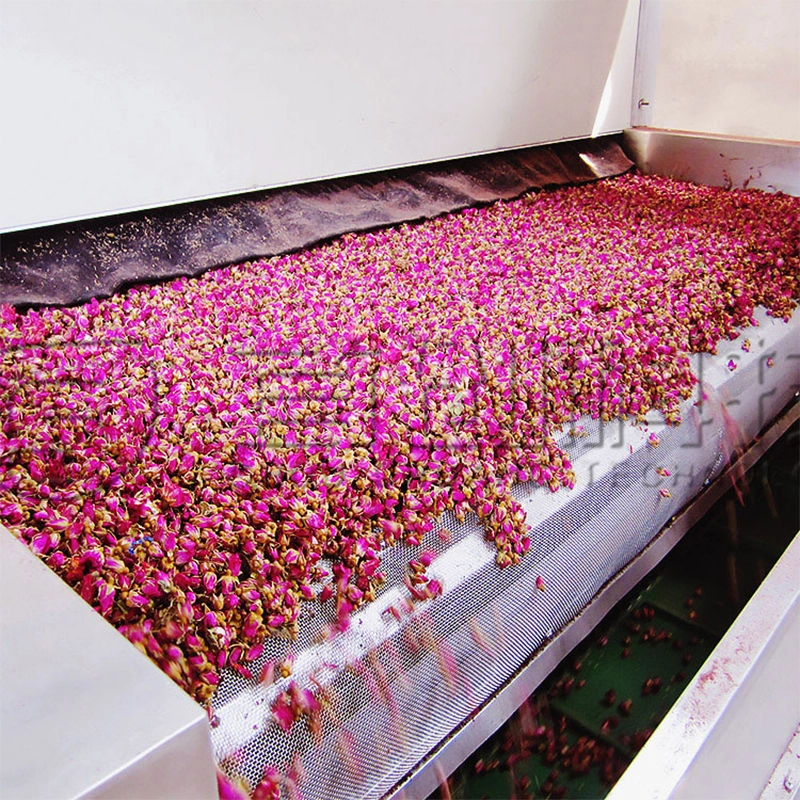 1000kg/h Hot Air Net Belt Dryer for Flowers, Herbs, and Leaves 1