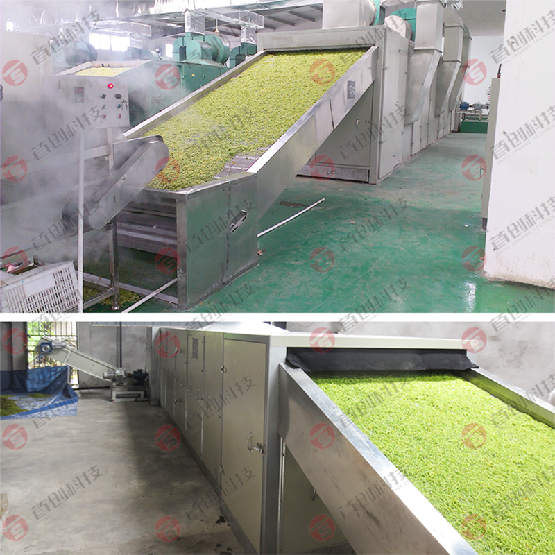 Continuous Belt Dryer Factory Direct Supply 4