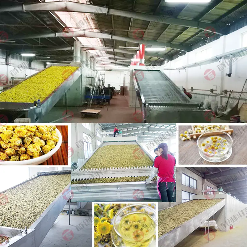 Hot Selling Flower Drying Machine Factory Price 5