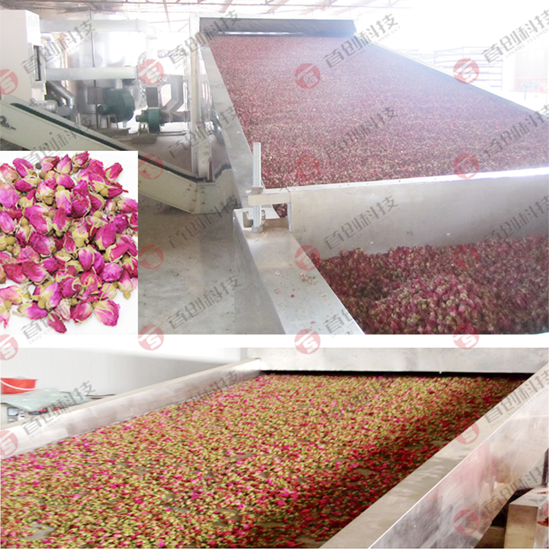 Continuous Belt Dryer Factory Direct Supply 6