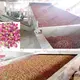 Hot Selling Flower Drying Machine Factory Price 6